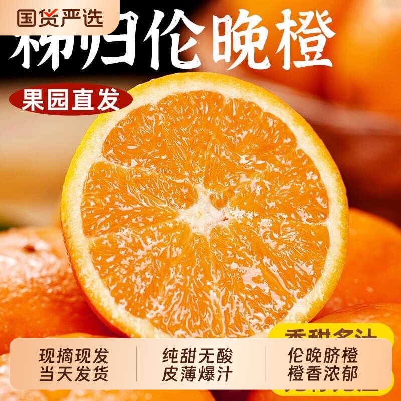 正宗湖北秭归伦晚脐橙旗官方旗舰店新鲜水果甜现摘橙子手剥春橙