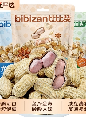 比比赞龙岩花生带壳炒货蒜香水煮花生米下酒菜小零食休闲食品五香