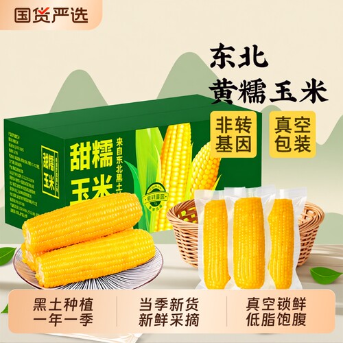 邹有才东北黄糯玉米当季新鲜采摘早餐主食代餐低脂饱腹真空装黄金