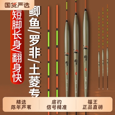 福王罗非底钓高灵敏浮漂