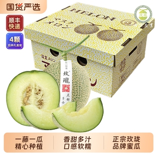 包邮 水果一藤一瓜网纹瓜软肉瓜顺丰 送礼 当季 玫珑正宗蜜瓜8斤装