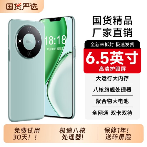 智能手机6.5英寸大屏全网通双卡双待256GB内存全新未拆千元学生游戏机办公备用机老人机当天发货STARLET品牌