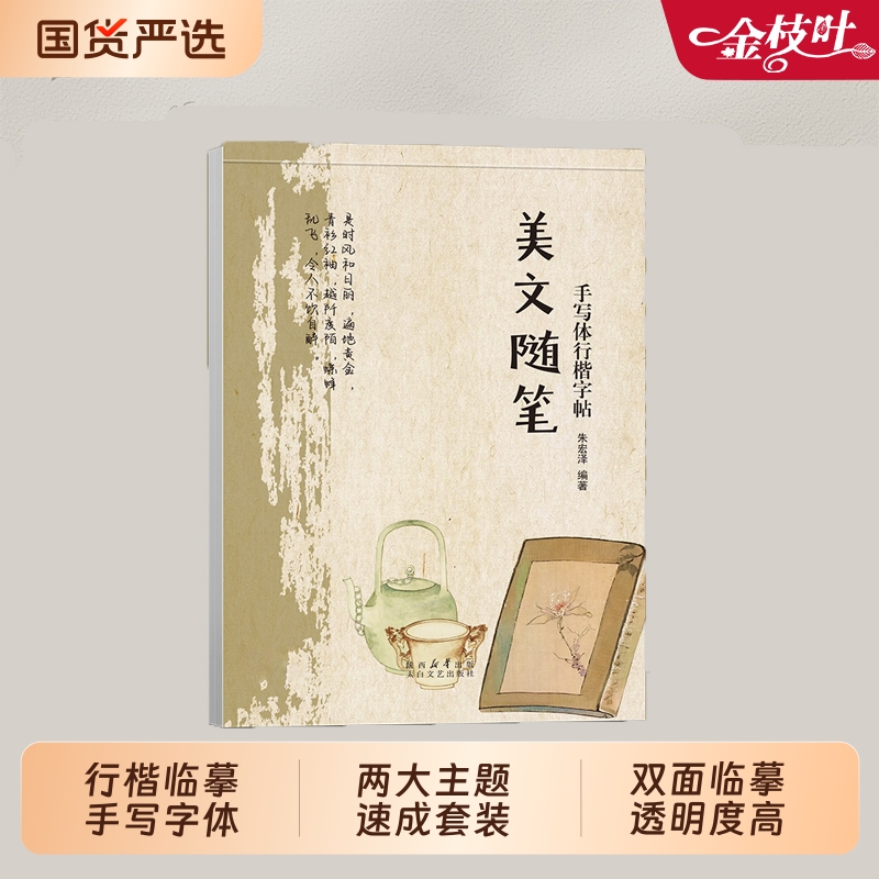 行楷手写体练字帖成人速成套装