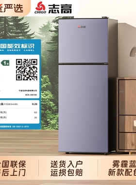 志高小冰箱一级能效家用小型租房宿舍迷你办公室冷冻节能冷藏冰箱