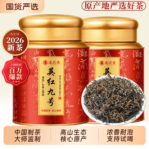 正宗广东英德红茶英红九号浓香型茶叶2026新茶中秋送礼自己喝300g