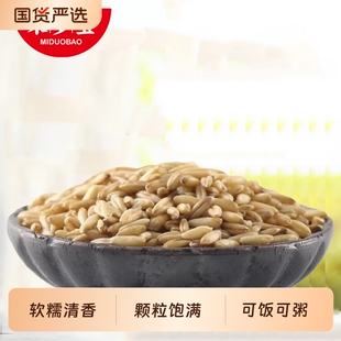 米多宝 东北五谷杂粮麦仁早餐原料粥米伴侣粗粮易煮 燕麦仁250g