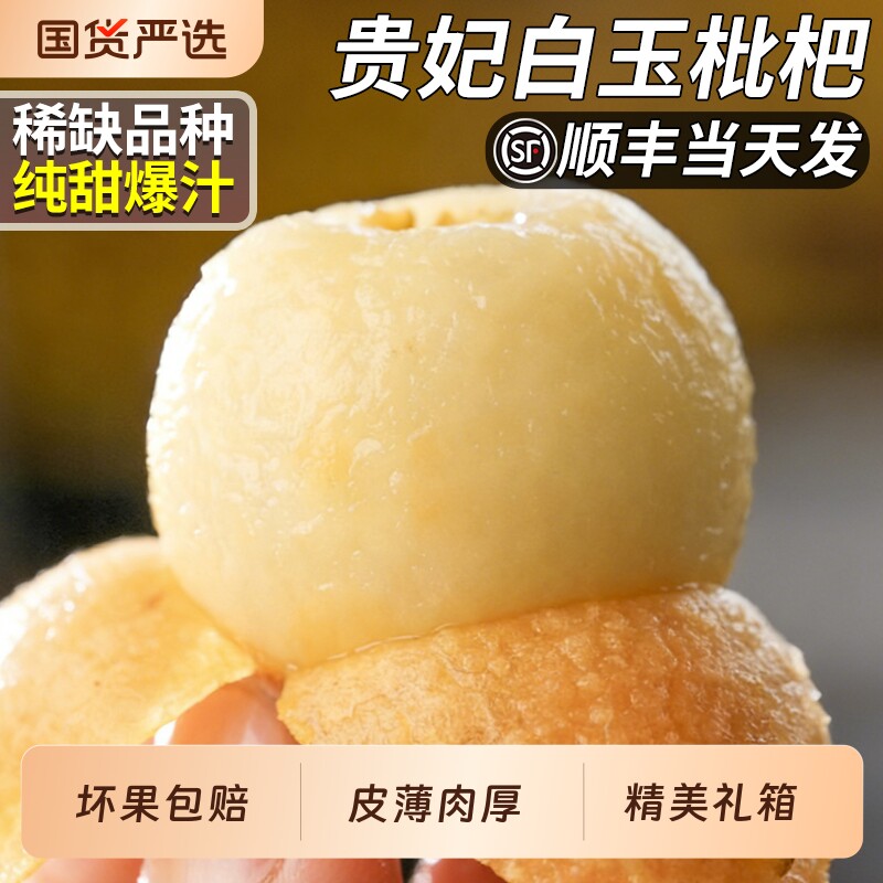 顺丰正宗白玉枇杷鲜果当季新鲜水果现摘甜白沙琵琶大果礼盒装包邮