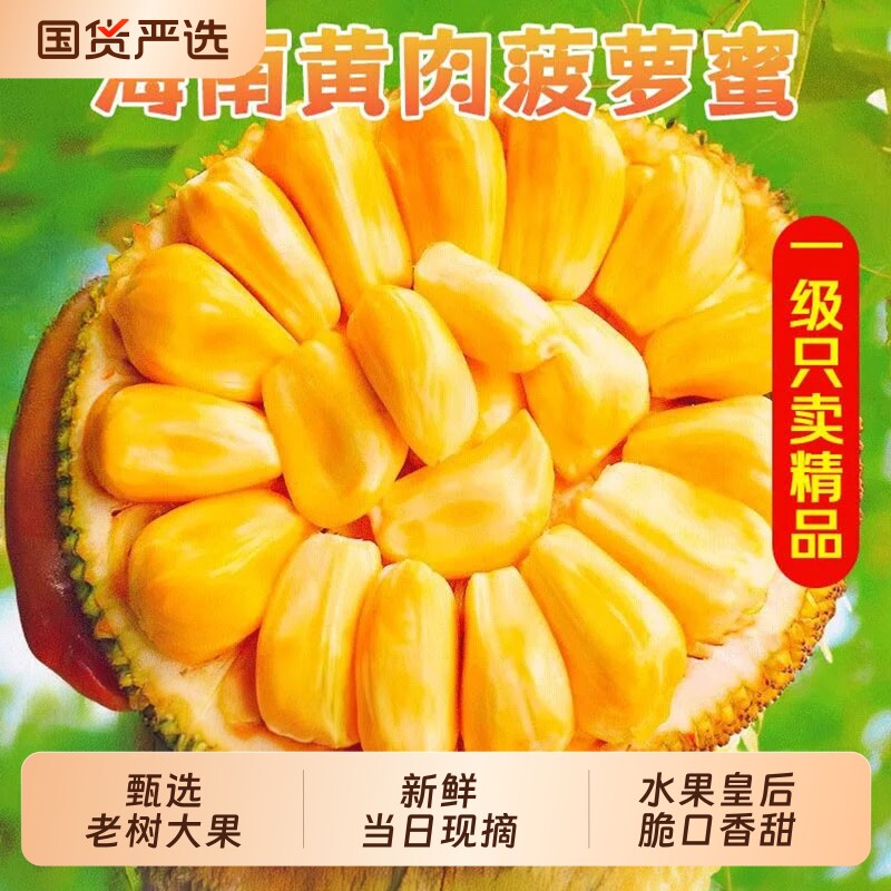 海南三亚黄肉菠萝蜜新鲜水果生鲜一整个特产干葆包邮当季香蕉热带