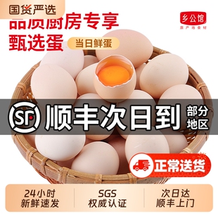 乡公馆鸡蛋新鲜正宗农家散养土鸡蛋农村30枚整箱柴笨草生鲜鸡蛋