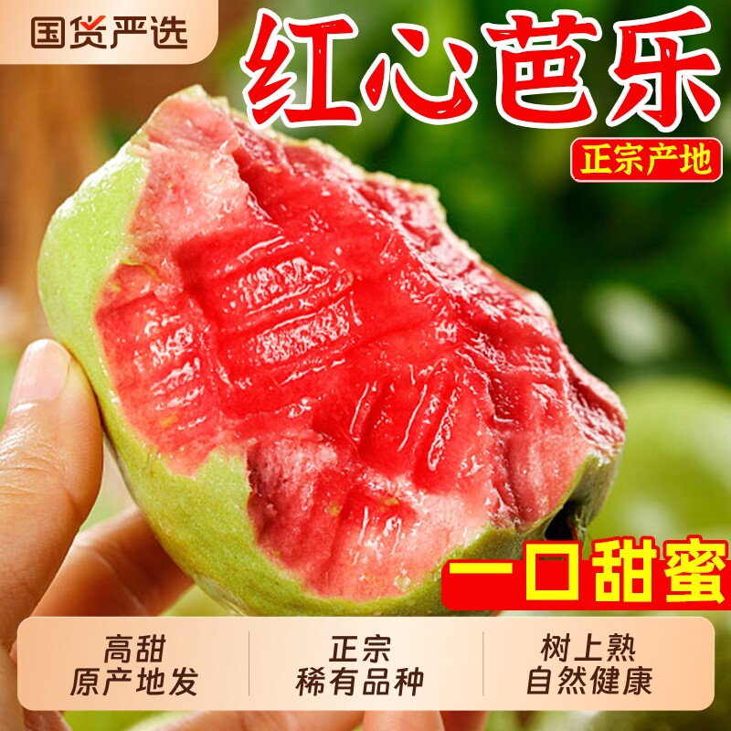 【严选】福建漳州红心芭乐新鲜水果包邮整箱应季鲜果鸡屎果番石榴