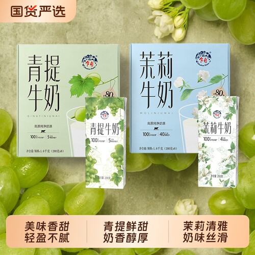 乍甸青提/茉莉牛奶整箱礼盒