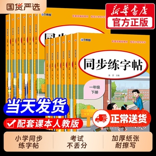 同步二年级下册练字帖2026人教版小学一年级上册三年级四年级上五六年级语文英语字帖练字小学生专用每日一练钢笔字贴练习课本写字