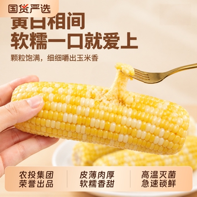 农投2026头茬黄白糯玉米10棒整箱
