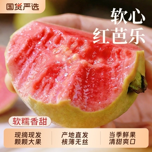 广西软糯红心芭乐5斤新鲜水果包邮应季番石榴胭脂红整箱现发当季