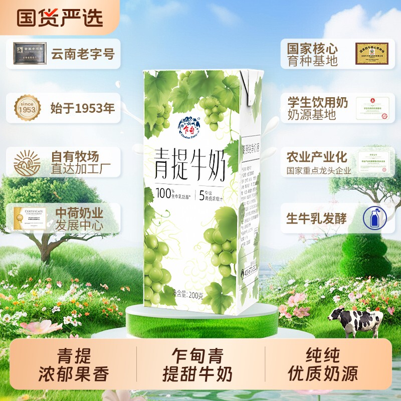 乍甸青提果香味/茉莉花香味甜牛奶200g*8盒*2箱儿童早餐奶礼