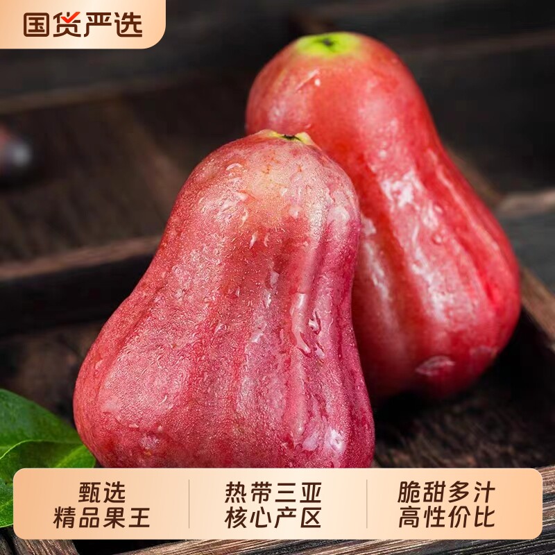 【顺丰京东】海南三亚黑金刚莲雾精品大果脆甜多汁新鲜包邮连雾