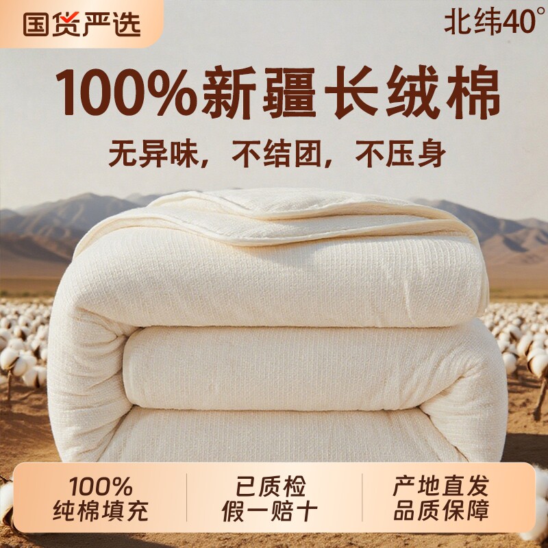 100%新疆棉花被芯纯棉被子加厚保暖全棉春秋学生夏凉被芯床垫手工