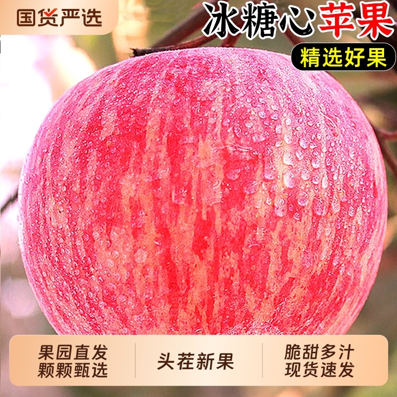 【甄选】红富士苹果水果新鲜当季冰糖心平果丑萍果脆甜整箱包邮,水产肉类/新鲜蔬果/熟食,苹果,淘宝优惠券,粉丝福利购,淘宝优惠卷