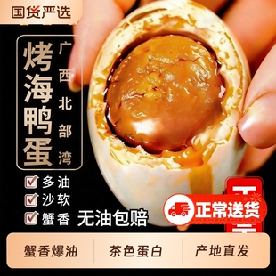 西哥海鸭蛋广西北海特产红树林海鸭蛋烤海鸭蛋咸鸭蛋正宗流油整箱