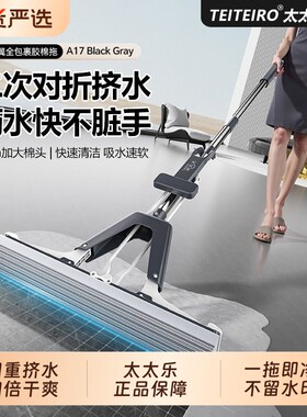 海绵拖把吸水家用一拖净免手洗2026新款干湿两用胶棉卫生间无水印
