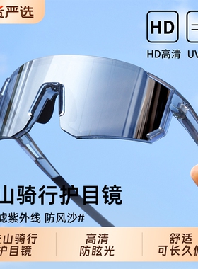 高清防紫外线眩光登山骑行护目镜