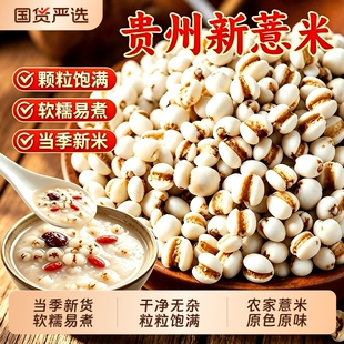 薏米仁500g小薏苡仁中药材新货贵州铁白薏米苡米仁小粒散装薏仁