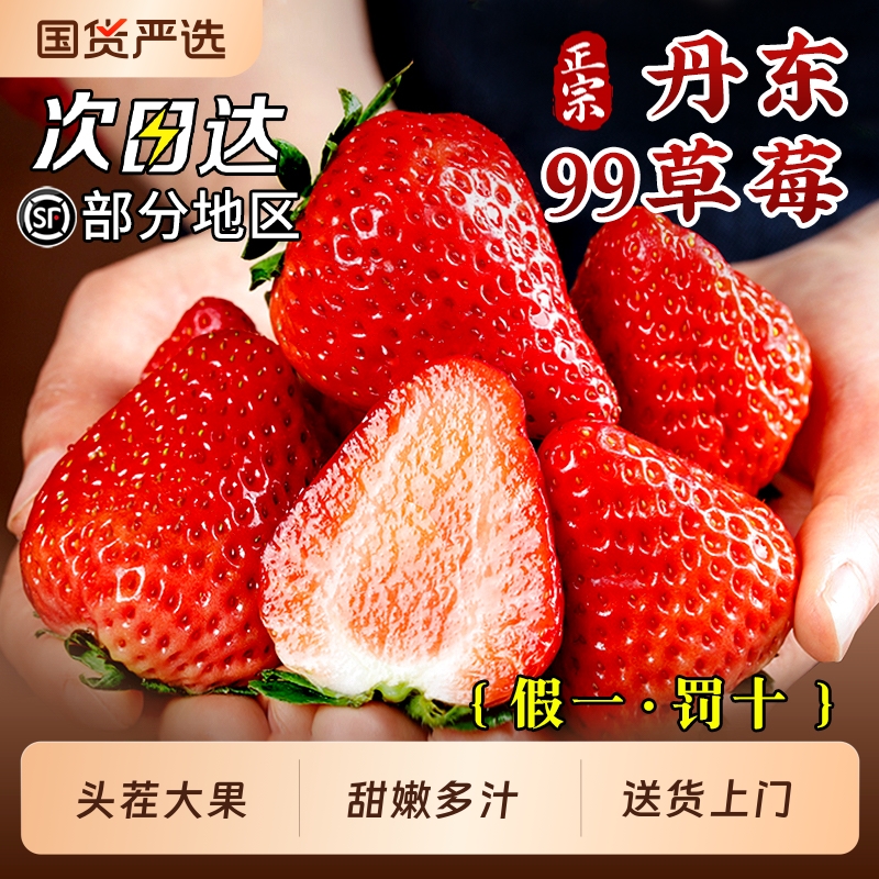 丹东99大草莓新鲜水果九九红颜奶油礼盒牛奶辽宁东港超久久旗舰店