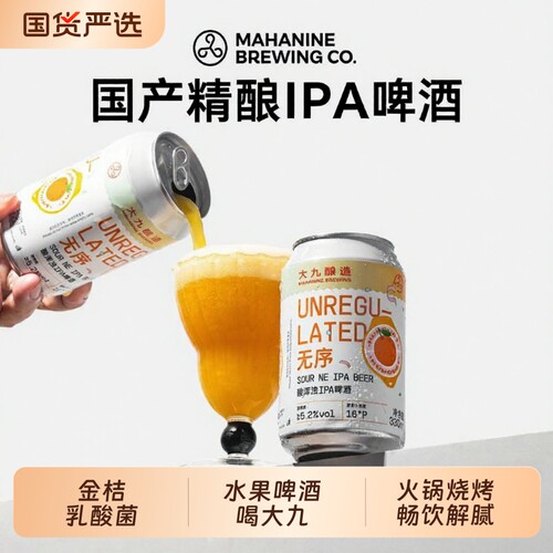 大九酿造无序酸浑浊IPA啤酒330ml*2精酿鲜啤易拉罐装流体国产微醺