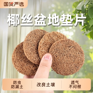 花盆垫片底孔垫网底部垫高透气椰丝盆栽盆景防漏土沥水垫新款