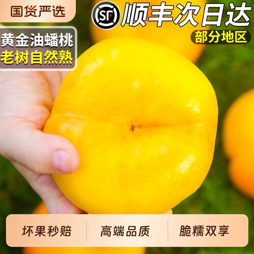 顺丰速达丨黄金油蟠桃5斤礼盒