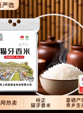 正宗猫牙香米广西寿乡上林特产农家晚稻籼米新米细长大米真空生态