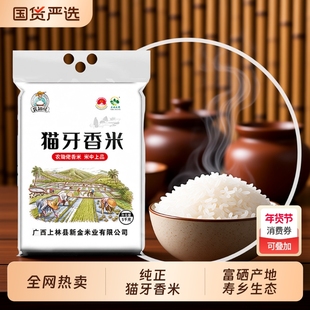 正宗猫牙香米广西寿乡上林特产农家晚稻籼米新米细长大米真空生态