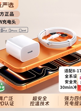 苹果17充电器头【45W新闪充】适用iPhone16promax冰速充15pro数据线30w原14pro装13PD快充头tc正品ipad认证