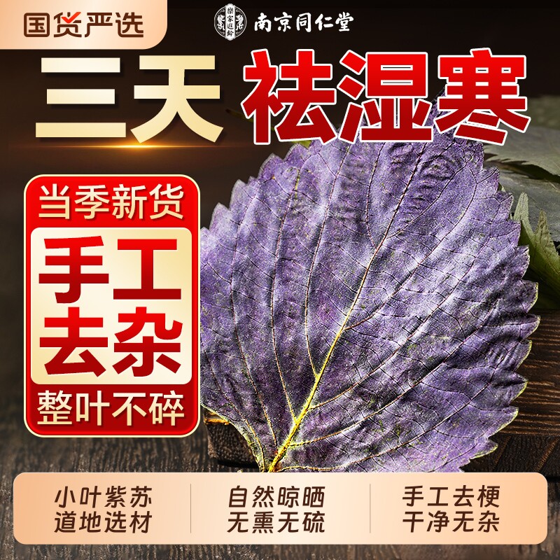 南京同仁堂紫苏叶新鲜食用干中药泡水喝养生祛湿茶正品官方旗舰店