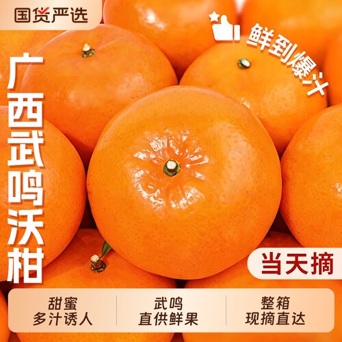 广西武鸣沃柑10斤新鲜水果当季整箱一级桔子沙糖时令砂糖橘子现摘