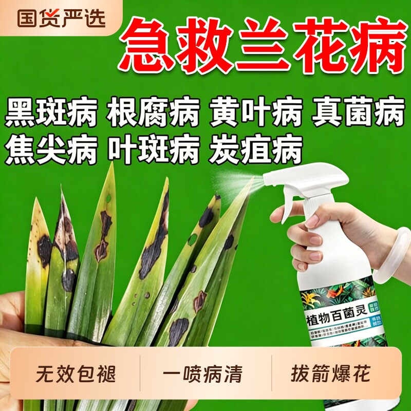兰花专用肥料营养液杀菌药多箭爆芽素黑斑病黄叶焦尖发黑无机肥J图片