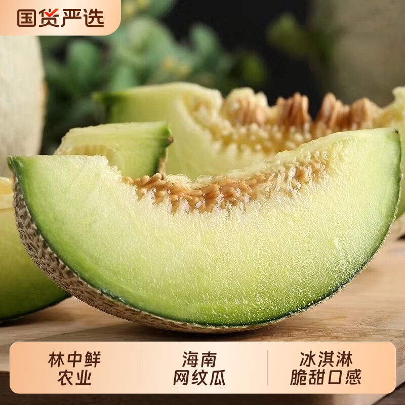 一藤一瓜海南网纹瓜林中鲜