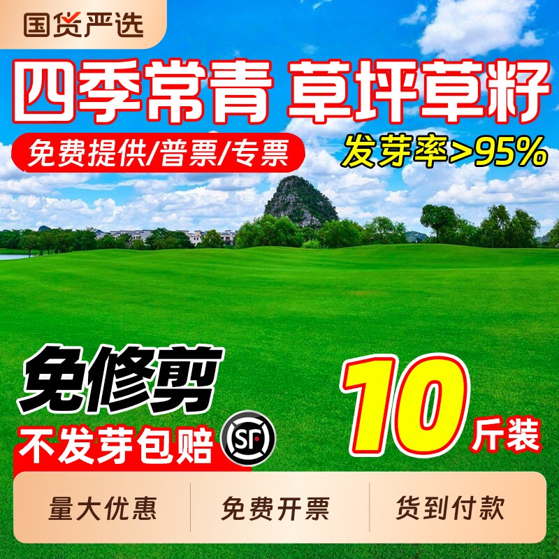草坪草籽矮生免修剪耐寒耐旱种籽护坡固土狗牙根高羊茅黑麦草种子
