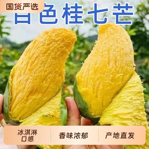 广西百色田东桂七芒果新鲜水果正宗大香芒当季忙整箱特产送人