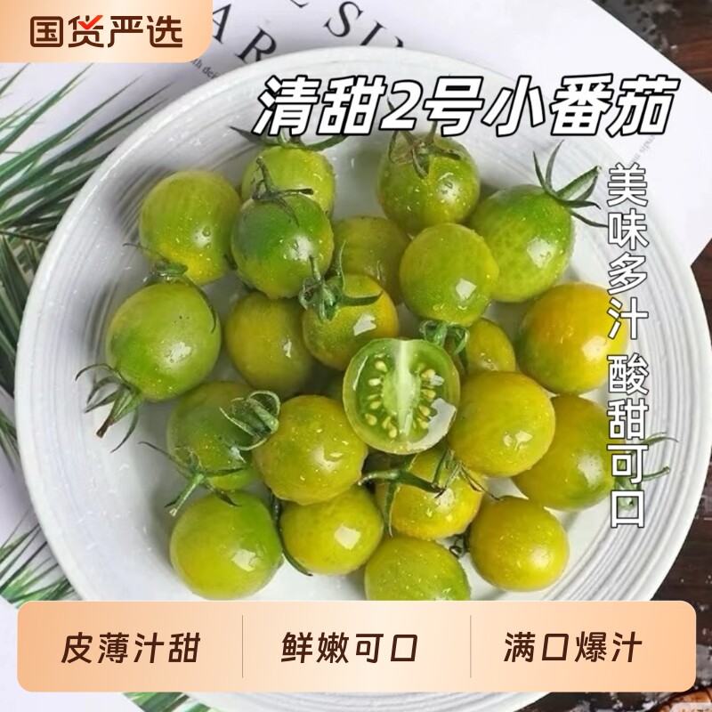 【胡鲜森】现摘清甜2号小番茄新鲜当季水果圣女果千禧小柿子