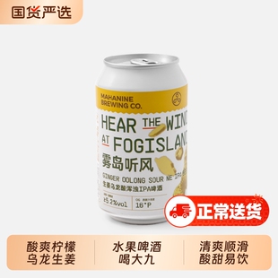 大九酿造雾岛听风生姜乌龙酸浑浊IPA姜水啤酒易拉罐国产精酿生啤