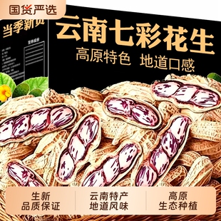 新云南七彩花生晒干带壳生七彩野地花生米健康特色原味日晒不上火