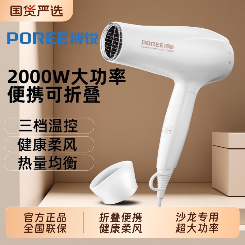飞科博锐大功率电吹风送女友发廊吹风机新款送礼大风速干圣诞节礼