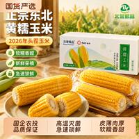 北誉甄品头茬黄糯玉米220-260g*8棒彩箱