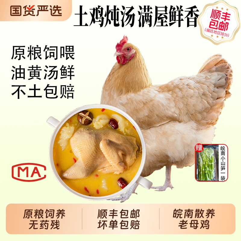 老母鸡正宗皖南深山农家散养土鸡全粮饲养土鸡现杀新鲜月子鸡