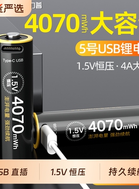 德力普5号锂电池4070mwh大容量1.5V恒压电动玩具电池指纹锁USB充电电池