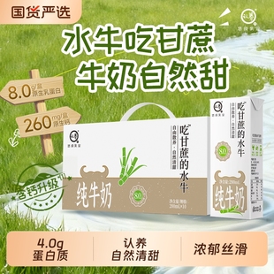水牛奶200ml 认养吃甘蔗 20盒4.0g蛋白学生儿童奶 高钙水牛奶