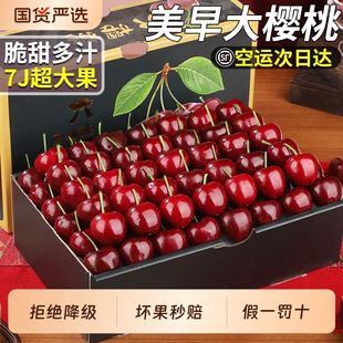 顺丰速达 大连美早樱桃5斤礼盒装当季车厘子新鲜水果包邮现货生鲜