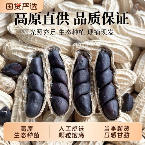 新货云南黑花生带壳富硒农家自产晒干紫黑皮花生五谷杂粮原味健康