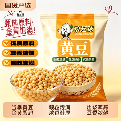 正宗东北农家黄豆大豆打豆浆新鲜发豆芽豆腐新货黄豆大豆